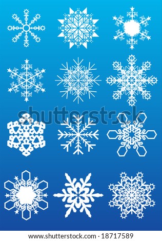 12 various vector snowflakes blue background