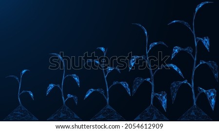 Stages of plant growth. Ecological concept. Polygonal construction of interconnected lines and points. Blue background. Foto stock © 
