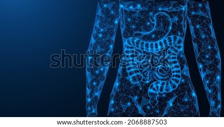 Human gastrointestinal tract. The digestive system. Torso and internal organs. A low-poly model of interconnected elements. Blue background.