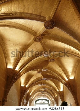 Vaulted ceiling in the hallway at the Chateau de Chenonceau, near Chenonceaux in France