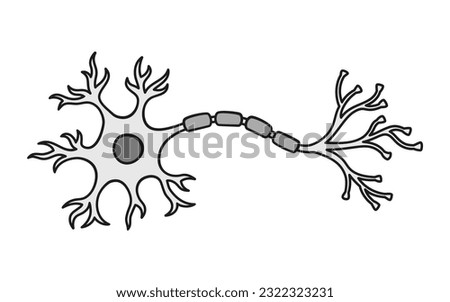 Neuron: nerve cell structure illustration colored in black and white shades