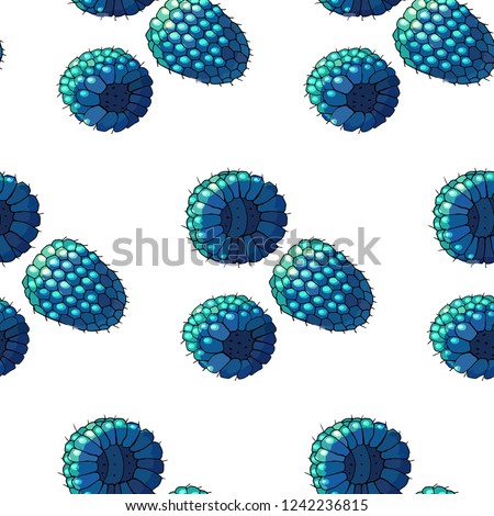 mi png images icon cliparts blue raspberry clipart stunning free transparent png clipart images free download flyclipart