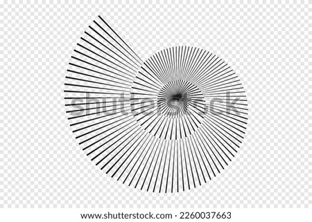 Abstract Stripped Nautilus shell symbol. Flat vector illustration