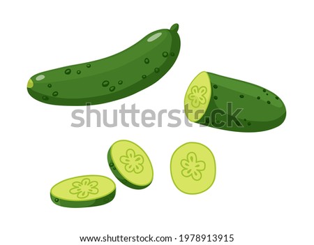 
A whole cucumber, sliced ​​cucumber pieces, half a cucumber. Flat style vector illustration isolated on white background.