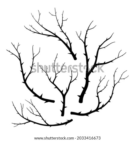 
Silhouette of branches with sharp thorns. Vector illustration isolated on white background. A set of gloomy branches for Halloween decoration. Stock foto © 