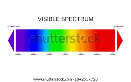 Spectrum, visible light diagram. Portion of the electromagnetic spectrum that is visible to the human eye. Color electromagnetic spectrum, light wave frequency. Infrared and ultraviolet. Vector