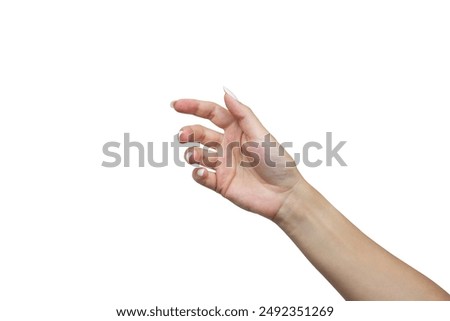 Image, Stock Photo A woman holds a handful of chestnuts in her hand.