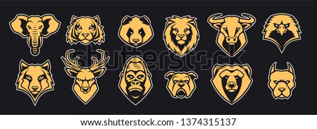 Animals Head Mascot Icons Vector Set. Different animals muzzles looking straight with aggressive mood. Vector icons set.