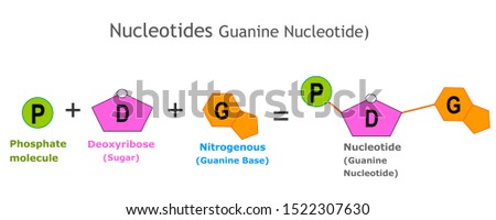 Shutterstock Puzzlepix