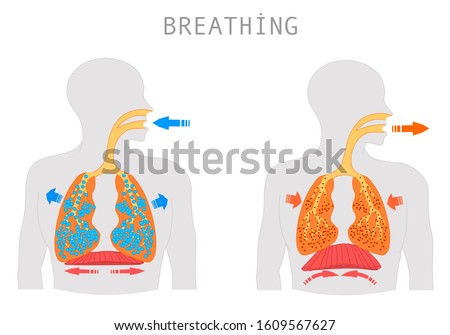 Breath Clipart | Free download on ClipArtMag