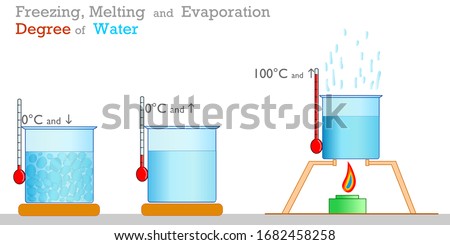 Water freezing, boiling, melting centigrade degrees. Liquids, fluids. Thermometer, test container, temperature gauge and cooker. Physics, chemistry samples.  Study, school. 2d vector illustration