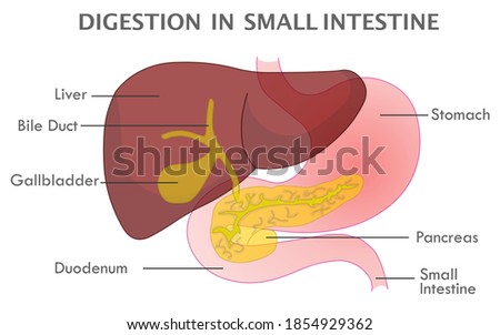 Shutterstock Puzzlepix