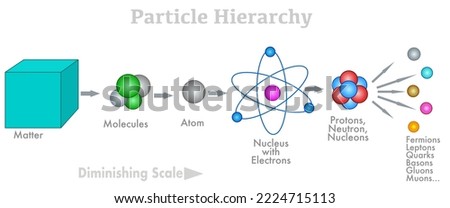 Particle hierarchy. Matter to quarks. Atom structure diminishing scale infographic. Molecules, electron, neutron, hadron, proton. nuclear anatomy model. Fermions, lepton, quark, gluons, muons. Vector