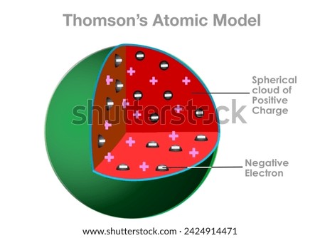 Thomson's atomic model is likened to the internal structure of a watermelon. Seeds as negatively charged particles. Red part, spherical cloud of the water melon as positively. Vector illustration