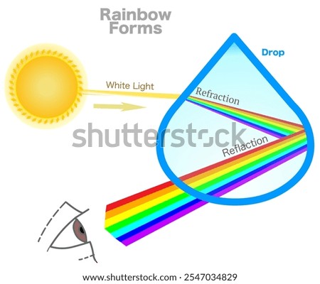 Rainbow formed diagram. Reflection, refraction, dispersion of light anatomy. Colored arc made by light striking rain droplets. Effect of ray hitting a rain drop. Red to violet. Vector illustration