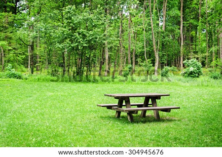 Wooden bench and table on a meadow in the forest. Summer leisure time in the park. Tranquil nature day scene.