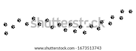 Paw vector foot trail print on white background.vector cat or Dog, path pattern animal tracks, isolated on white background