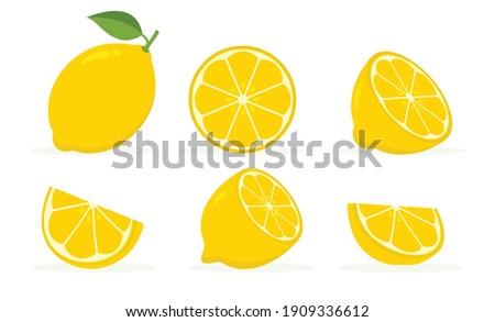 lemon Icon set, collection Fresh lemon fruits isolated on white background, Lemon slice vector illustration