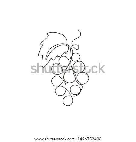 Single continuous line drawing healthy organic grapes for vineyard logo identity. Fresh tropical fruitage concept for fruit orchard garden icon. Modern one line draw design graphic vector illustration