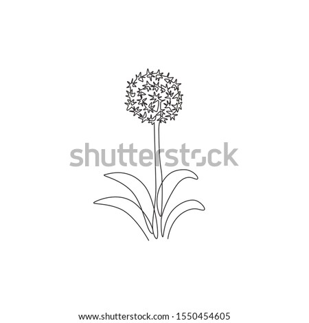 Single one line drawing of beauty fresh allium giganteum for garden logo. Decorative giant onion flower concept home decor wall art poster print. Modern continuous line draw design vector illustration