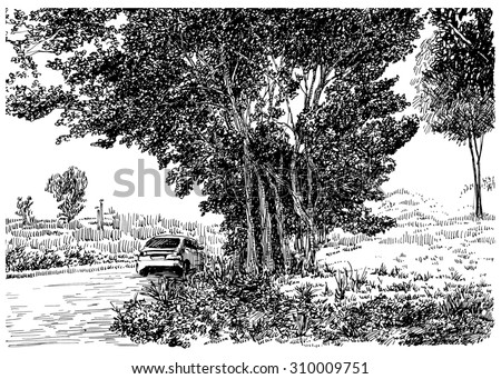 Lone car on the road and park. Black and white dashed style sketch, line art, drawing with pen and ink. Western classical trend of book illustration and comic art. Retro vintage picture.