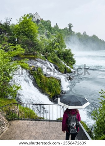 Similar – Foto Bild am Rhein