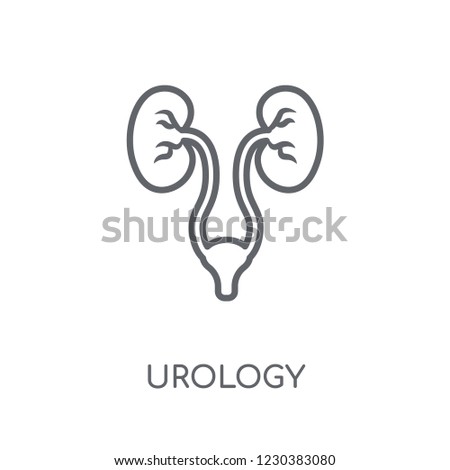 Urology linear icon. Modern outline Urology logo concept on white background from Health and Medical collection. Suitable for use on web apps, mobile apps and print media. Stock foto © 