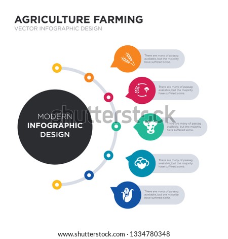 modern business infographic illustration design contains corn, cotton, cow, crop rotation, crops simple vector icons. set of 5 isolated filled icons. editable sign and symbols