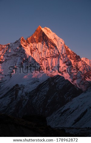 The Fish tail or Machapuchare peak glows as the sun sets in Annapurna Himal, Nepal.