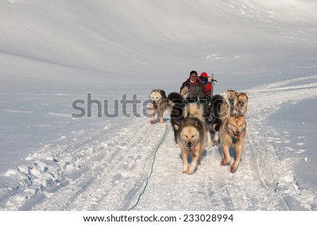 Tasiilaq, Greenland - Mar 16: Unidentified dog sledding tour group in Tasiilaq, Greenland on March 16, 2012.Dog sledding tour is a fantastic and unequalled experience in wintertime of Greenland.