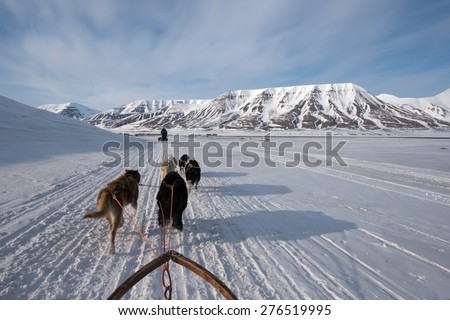 Dog sled tour across a barren winter landscape, Svalbard, Norway