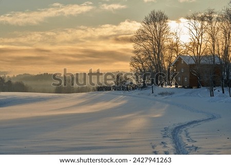 Image, Stock Photo Snow Stories Agriculture