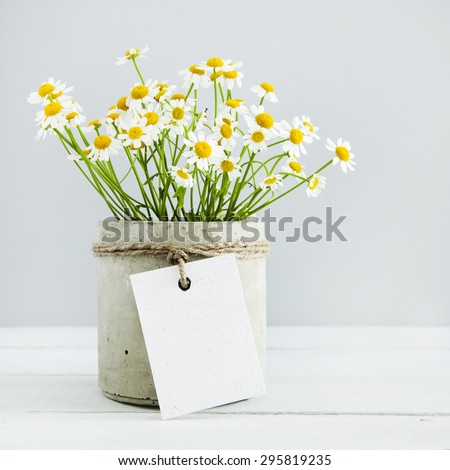Mock up. Bouquet of daisy-chamomile flowers in concrete pot in the morning. with empty gift tag.