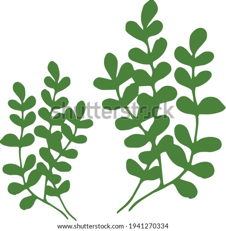 Green silhouettes of medical herbs. Sim`ple vector illustration in modern minimalist style. Good for logo design, packaging design.