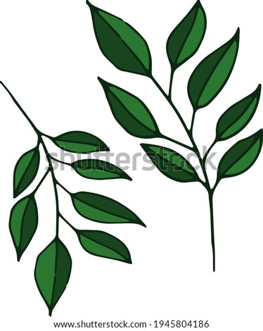 Green silhouettes of two twigs with leaves. Sim`ple vector illustration in a modern minimalist style. Good for logo design, packaging design.