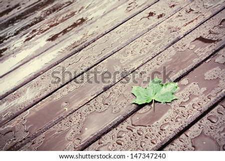 Wet wooden floor during rain with a fallen leaf, abstract background