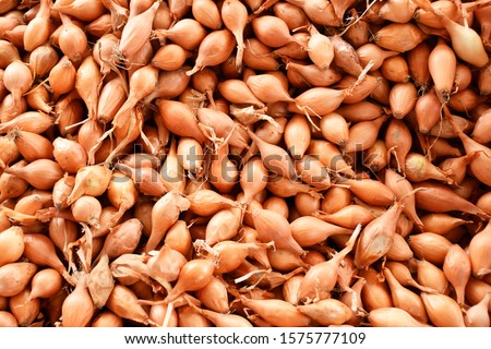 Group of Shallots at farmers market, shallots background Foto d'archivio © 