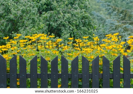 wooden rustic fence with yellow flowers