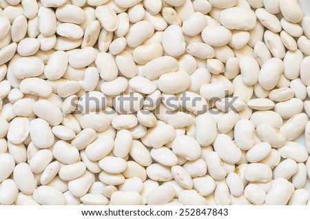 closeup to dry white beans