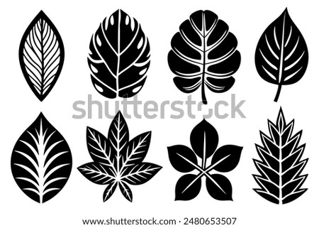 Leaves Silhouette A Set of Illustrations