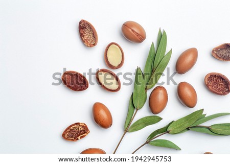 Argan seeds isolated on a white background. Argan oil nuts with plant. Cosmetics and natural oils background.