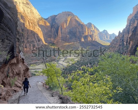 Similar – Image, Stock Photo One of the most amazing places that I’ve traveled to so far was the northern part of Tenerife. Endless ocean in the horizons, rough coastline, spiky cactuses, and a naked back of a gorgeous blonde girl.