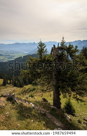 Similar – Foto Bild Füssen berge alpen allgäu