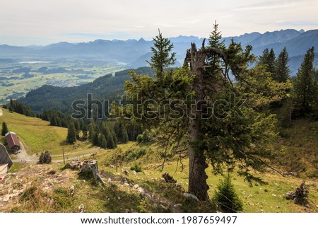 Similar – Foto Bild Füssen berge alpen allgäu