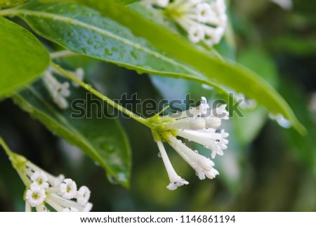 Shutterstock Puzzlepix