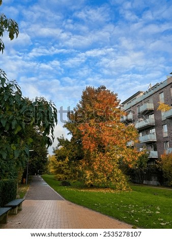 Similar – Foto Bild Hamburg Stadt orange rot