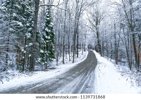 Similar – Image, Stock Photo Winter road in a forest