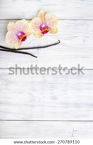 Vanilla pods and orchid flowers on white wooden background with copy space
