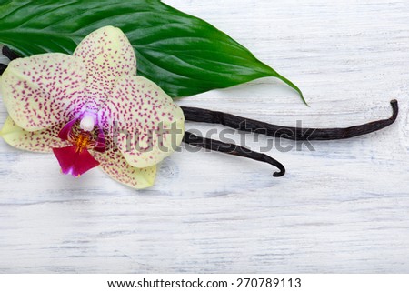 Vanilla pods and orchid flower on white wooden background with copy space