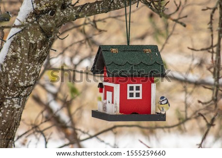 Similar – Foto Bild Am Baum hängendes Vogelhaus mit dem kreisförmigen Eingangsloch